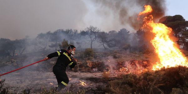 Δήμος Πάρου: Οδηγίες για καθαρισμό χώρων για την αποτροπή πρόκλησης πυρκαγιάς και πρόστιμα