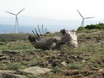 Η αλήθεια για τις ανεμογεννήτριες απέναντι στις γκρίζες ζώνες του λαϊκισμού και της πολιτικής υποκρισίας