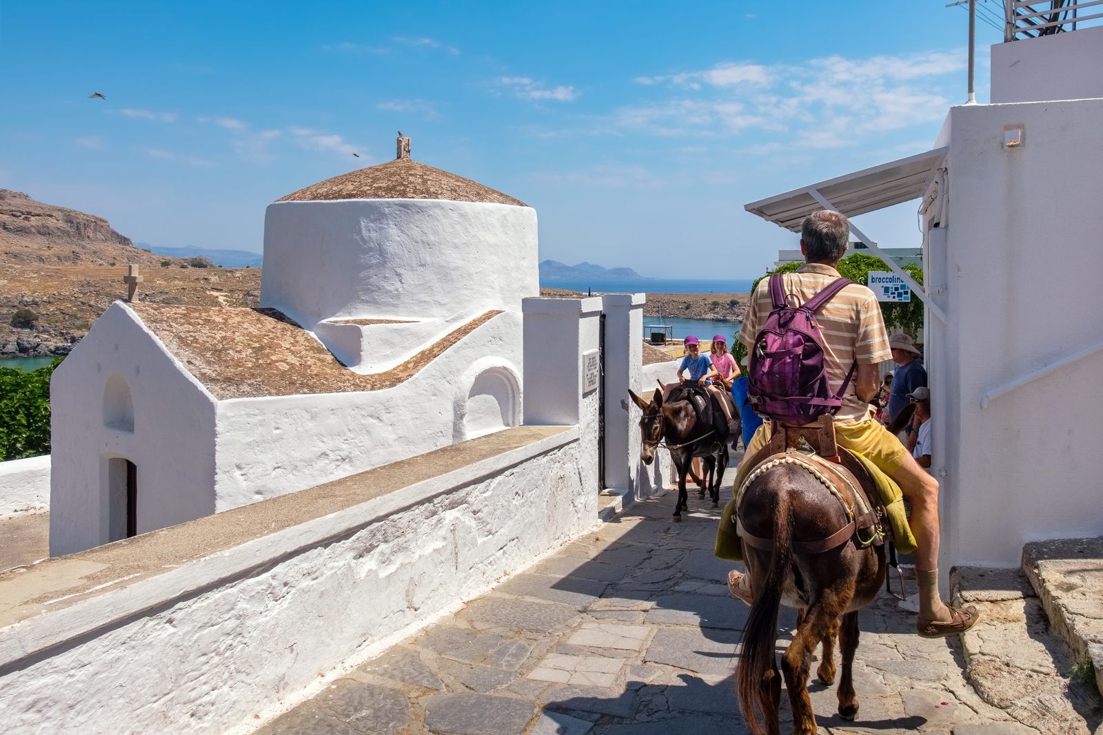 Απαγορεύεται η εργασία και μεταφορά των ιπποειδών σε συνθήκες καύσωνα