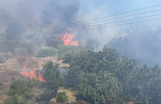 Κεραυνοί προκάλεσαν δύο φωτιές στην Άνδρο - Καίνε χαμηλή βλάστηση