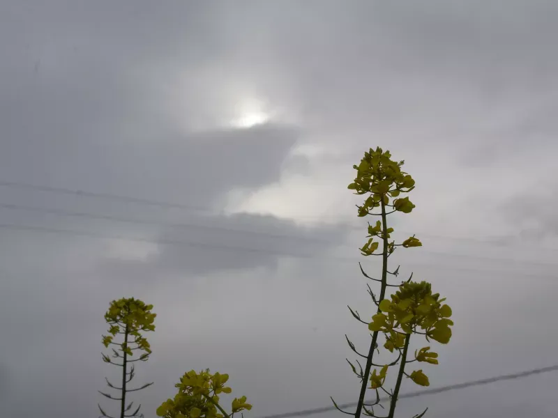 Καιρός: Τοπικές βροχές και πτώση θερμοκρασίας – Πού θα πέσουν τα πρώτα χιόνια