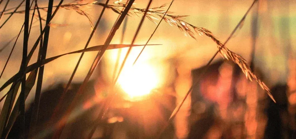 Καιρός: Κορυφώνεται η ζέστη – Έως 39°C τοπικά, επιστρέφουν οι καταιγίδες από την Πέμπτη
