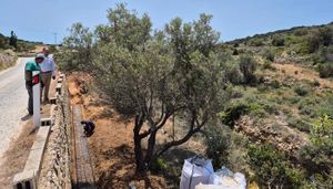 Εργασίες αποκατάστασης λιθοδομών οδικού δικτύου στο Καμάρι Αγκαιριάς