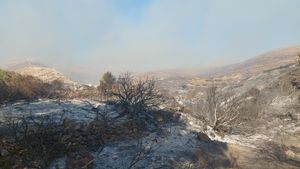 Μπιζάς: «Η αλήθεια για την πύλη του ΧΥΤΑ, η ανεύθυνη στάση της WATT A.E. και η αποκατάσταση των πραγματικών περιστατικών»