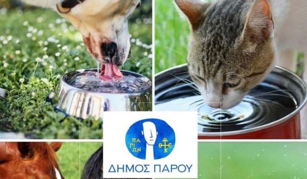Ο Δήμος Πάρου  για τον καύσωνα
και  τα αδέσποτα ζώα συντροφιάς