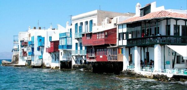 Μύκονος: "Κοπάδι" τα χρυσά… καλαμάρια– Τουρίστας πλήρωσε 711 ευρώ