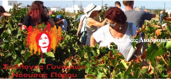 Σύλλογος Γυναικών Νάουσας Πάρου: Οινικές Διαδρομές Παρίων - Γνωρίζοντας τον παριανό αμπελώνα