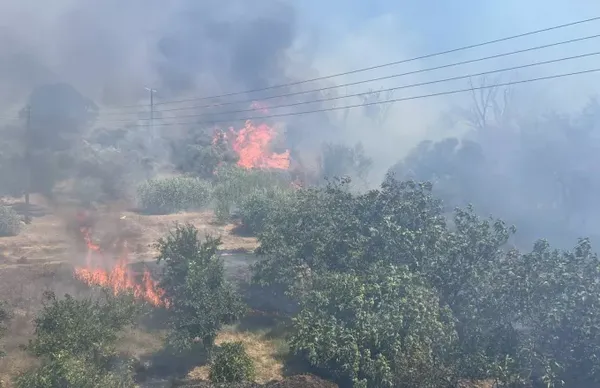 Κεραυνοί προκάλεσαν δύο φωτιές στην Άνδρο - Καίνε χαμηλή βλάστηση