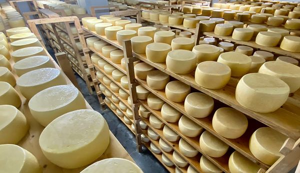 Πάρος: Eπιστολή Μπιζά για την τυροκομία των Κυκλάδων