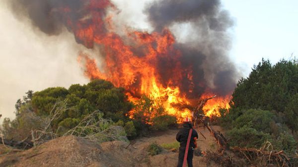 Μία σύλληψη για εμπρησμό από αμέλεια στη Νάξο