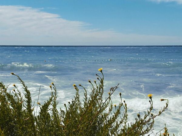 Καιρός, υψηλές θερμοκρασίες , ισχυρούς ανέμους ,Αιγαίο