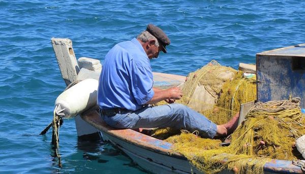 Χορήγηση νέων αδειών επαγγελματικής αλιείας – Ένταξη σε πρόγραμμα νέων αλιέων
