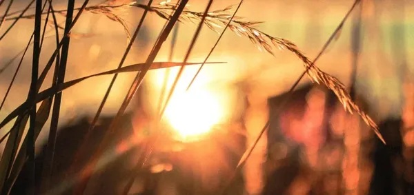 Καιρός: Έρχεται ο πρώτος μεγάλος καύσωνας – Εφτά περιοχές στο «κόκκινο» με πάνω από 40° Κελσίου