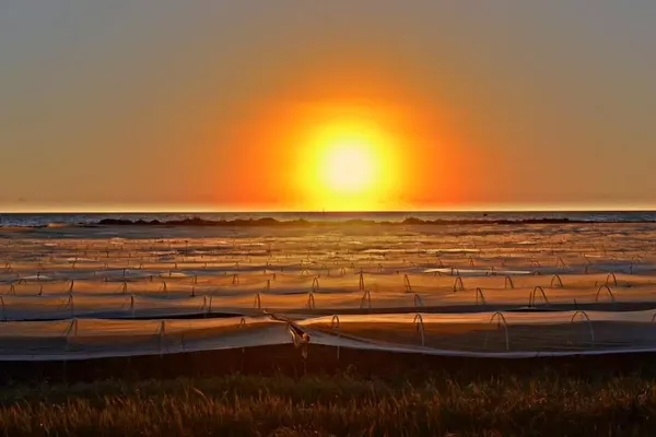 Νέος καύσωνας με 42άρια τα επόμενα 24ωρα - Tα μελτέμια "σώζουν" τις Κυκλάδες