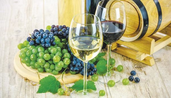 Σύλλογος Γυναικών Νάουσας Πάρου: Οινικές Διαδρομές Παρίων 2025