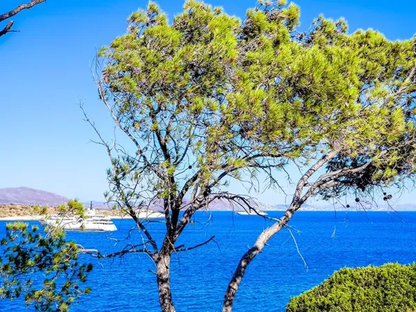 Καιρός: Νέα μικρή πτώση της θερμοκρασίας σήμερα Κυριακή